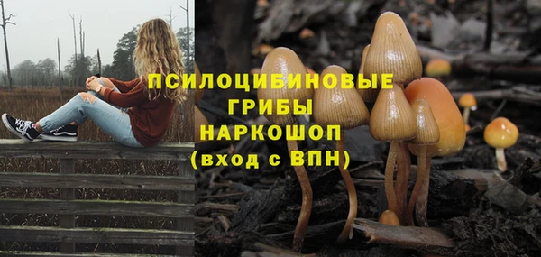 mdma Горнозаводск