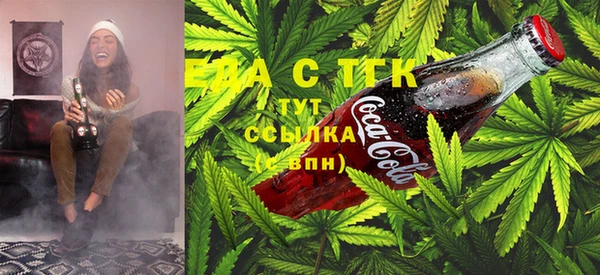 шишки Протвино