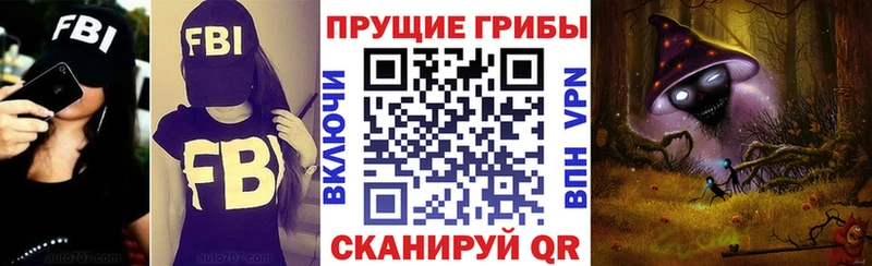 Купить где  Эртиль  Галлюциногенные грибы GOLDEN TEACHER 